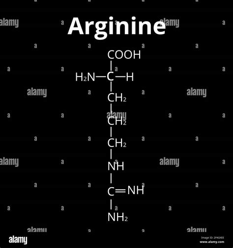 Arginine amino acid. Chemical molecular formula Arginine amino acid ...