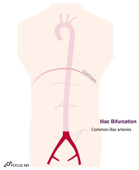 Image result for Collaborative Summer Library Program Logo