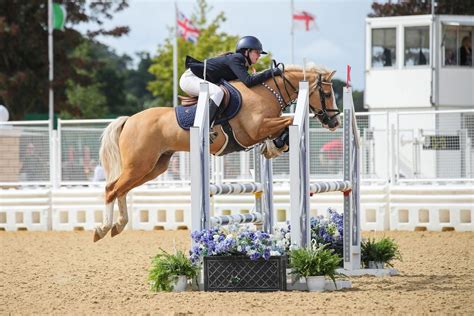 Pygmy Rabbit Facts 的图像结果