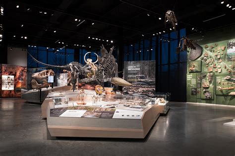 History Museum 的图像结果