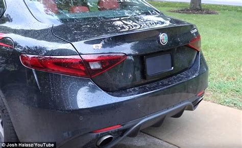 Image result for Stealth License Plate