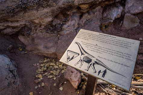 Mill Canyon Dinosaur Tracksite & Fossil Trail in Utah - We Love to Explore