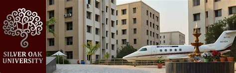 Silver Oak University Logo - Symbolizing Excellence