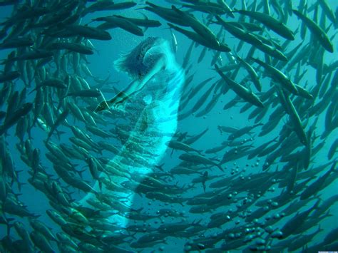 Water Contest Pictures made with Photoshop - Image Page 45 - Pxleyes.com