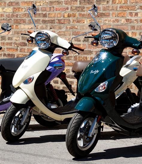 Image result for buddy