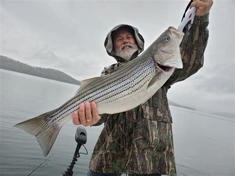 BUSCH MOUNTAIN FISHING GUIDE SERVICE (2026) All You Need to Know BEFORE ...