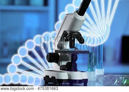 Genetics Pics 的图像结果