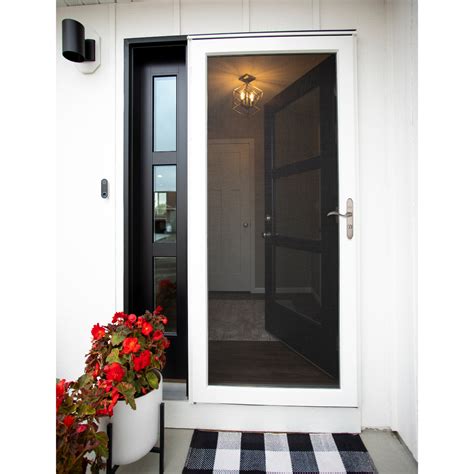 Shop LARSON Platinum Interchangeable Glass and Screen Full-view ...