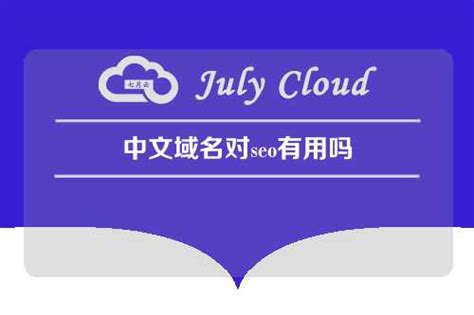 中文域名对seo有用吗 - 七月云