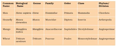 Revision Notes: The Living World - Biology Class 11 - NEET PDF Download