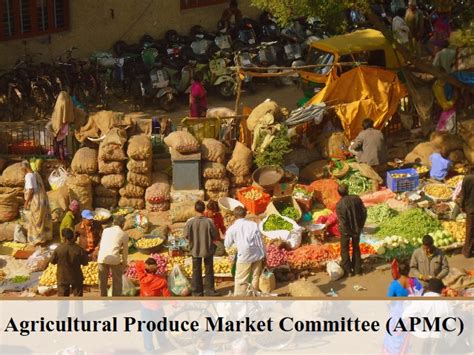 Agricultural Produce Market Committee (APMC): All you need to know