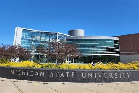Michigan State University: Acceptance Rate, Admission 2026, Rankings ...