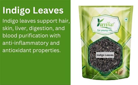 Yuvika Indigo Leaves - Indigo Leaf - Neel Patti - Neelambari ...