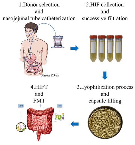 Frontiers | Fecal Microbiota and Human Intestinal Fluid Transplantation ...