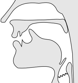 Image result for Drawing Rectangles in Java