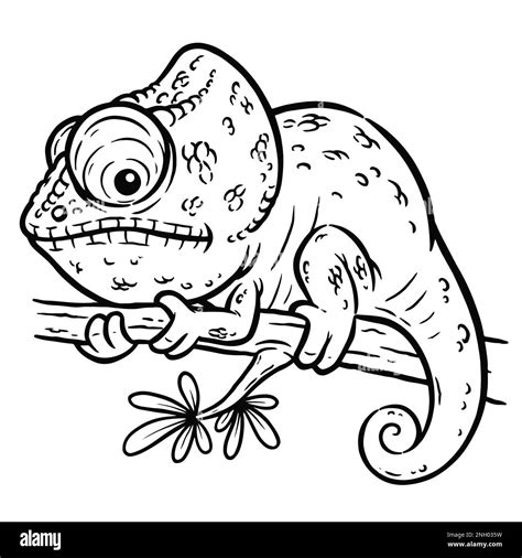 Chameleon Coloring Outline Drawing Pages Color Chameleons Camaleon Para ...