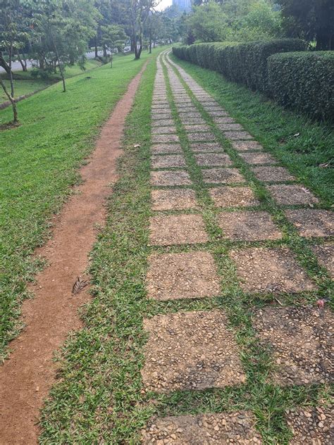 Image result for Parallel Paths