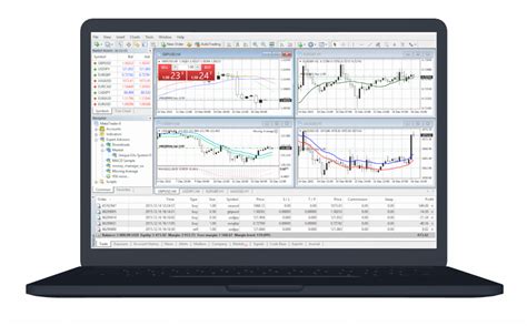 MetaTrader Program 的图像结果