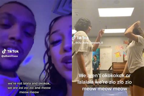 Zey Zey o Meow Meow, cosa significa il nuovo trend su TikTok?
