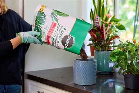 Miracle-Gro® Tropical Potting Mix, 8.8-L | Canadian Tire
