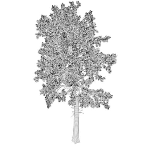 Image result for Unreal Engine Loblolly Tree