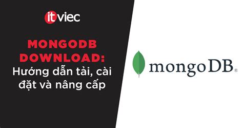 Image result for MongoDB Download Example