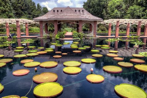 Huntsville Botanical Garden, huntsville, United States Of America - Top ...