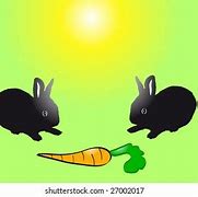 Image result for Baby Rabbits Milk