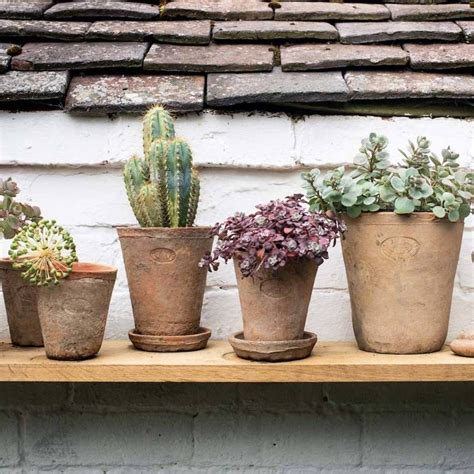 Terracotta Flower Pots: The Perfect Addition to Your Garden