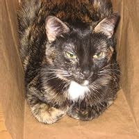 Image result for Sample Problem Power