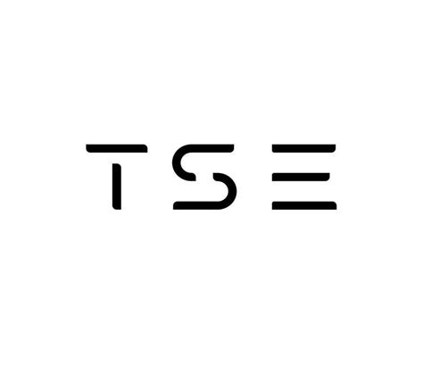 Custom Modern Logo for TSE | Freelancer