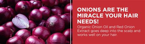 Buy UrbanMooch Advanced Onion Hair Oil For Men With Red Onion Extract ...