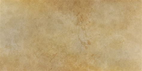 Image result for Parchment Making