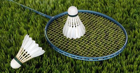 Para badminton: India claim 13 medals including three golds in Turkey