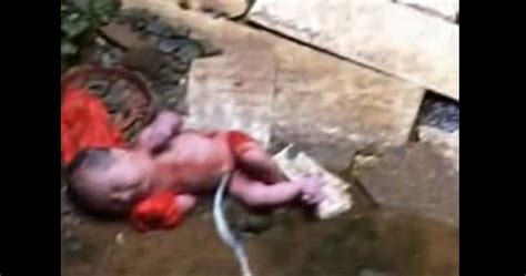 Abandoned Baby Girl With Umbilical Cord Still Attached Saved After She Was Thrown Over a Wall ...