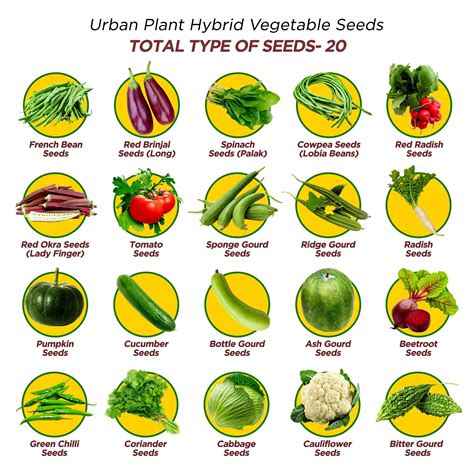 20 Types of Hybrid Vegetable Seeds - Ultimate Combo Pack