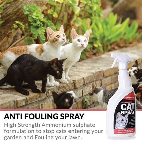 Feral Cat Repellent Spray at Jill Farris blog