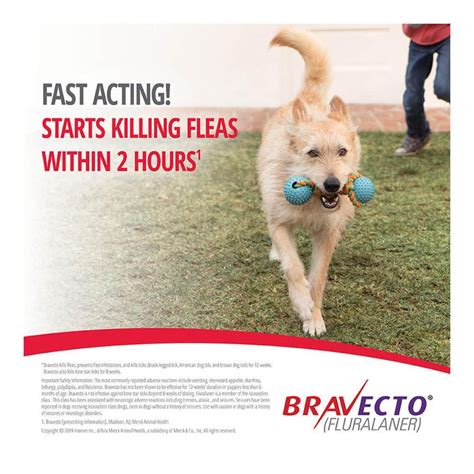Bravecto Tick and Fleas Removal Chewable Tablet for Dogs (Fluralaner ...