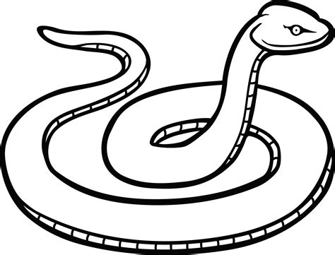 Download Free Clipart Of A Snake - Snake Clipart Black And White - Full ...
