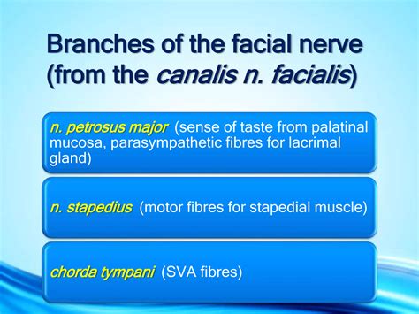 Facial nerve | PPSX