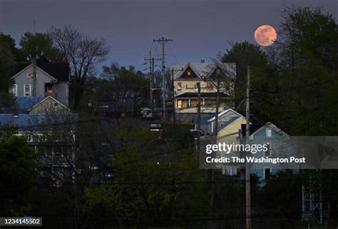 Local Photographers 的图像结果