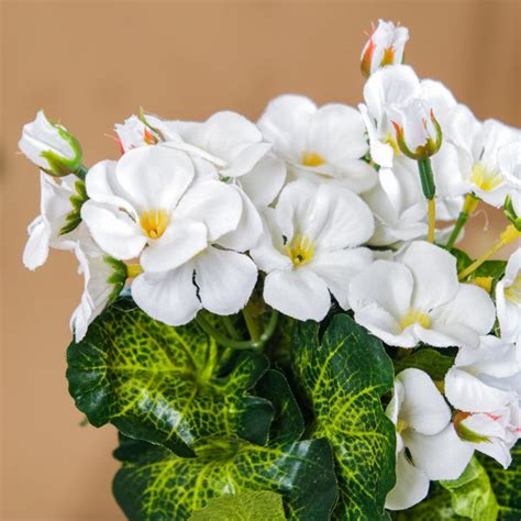 Begonia Flower Stem Online - Premium Artificial Flower | Nestasia