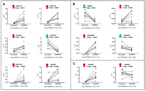 Differential Regulation of circRNA, miRNA, and piRNA during Early ...
