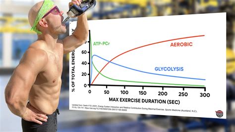 Image result for Understanding Energy Systems Exercise