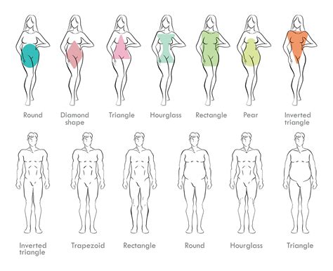 Different Guy Body Types
