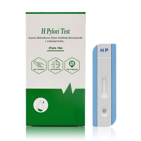 2 Test Helicobacter Pylori Detection At Home Detection Kit Self | Desertcart INDIA