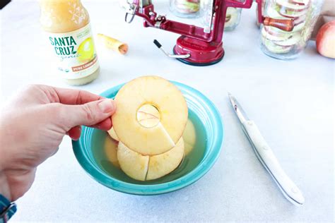 How To Freeze Dry Apples At Home -6 Tips For Success - Hollis Homestead