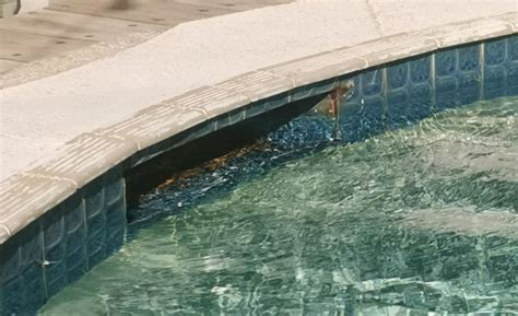 Image result for Install Pool Intake