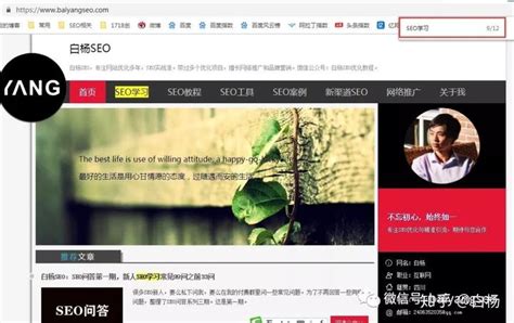 白杨SEO：SEO问答第三期|新人SEO学习常见99问（67-99）【收藏】 | 自由微信 | FreeWeChat