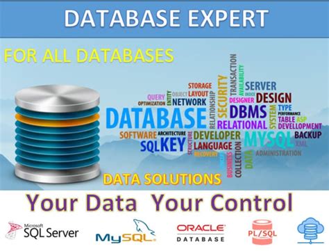 Image result for Access Database Expert